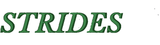 Strides Mentoring